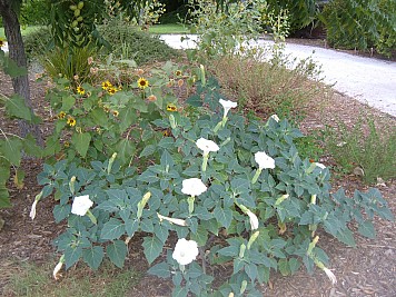 DSCF3211.JPG