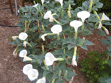 DSCF3213.JPG
