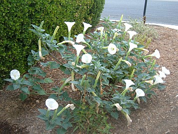 DSCF3214.JPG