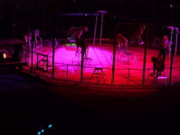 DSCF3217.JPG