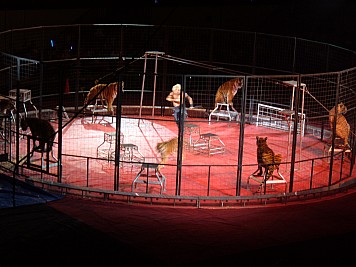 DSCF3219.JPG