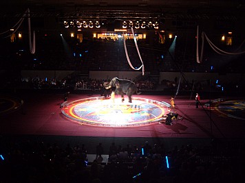 DSCF3225.JPG