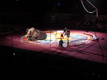 DSCF3226.JPG