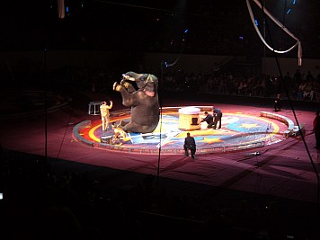 DSCF3227.JPG