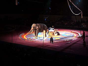 DSCF3228.JPG