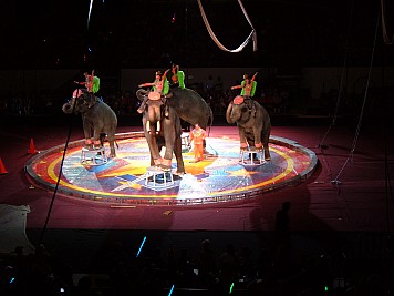 DSCF3241.JPG