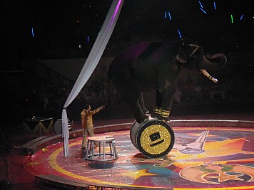 DSCN0044.jpg