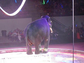 DSCN0046.jpg
