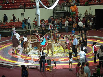 DSCN0049.jpg