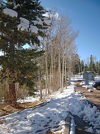 DSCN0156.jpg