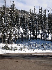 DSCN0159.jpg