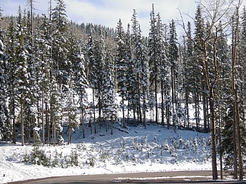 DSCN0160.jpg