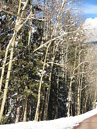DSCN0161.jpg