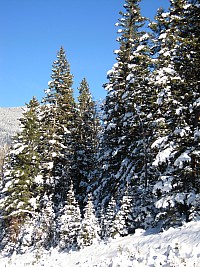 DSCN0163.jpg