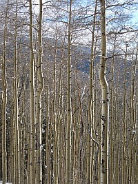 DSCN0164.jpg