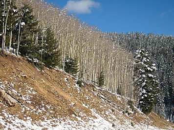 DSCN0166.jpg