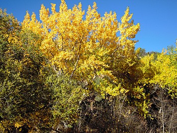 DSCN0168.jpg
