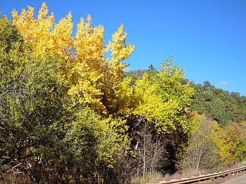 DSCN0169.jpg