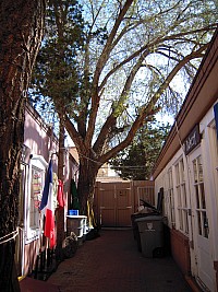 DSCN0276.jpg