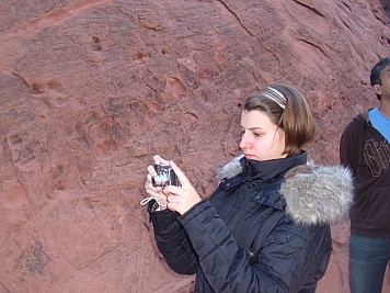 DSCF3519.JPG