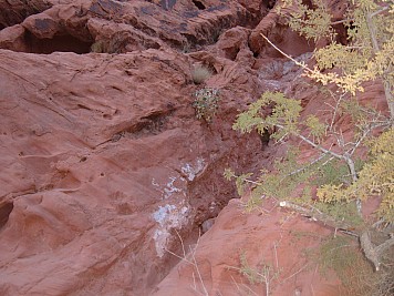 DSCF3520.JPG