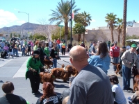 DSCF0588.JPG