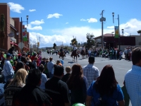 DSCF0622.JPG