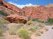 DSCF1780.jpg