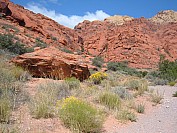 DSCF1781.jpg