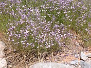 DSCF1784.jpg