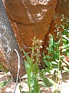 DSCF1788.jpg