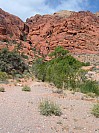 DSCF1799.jpg