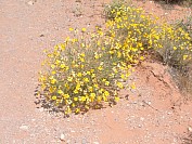 DSCF1803.jpg
