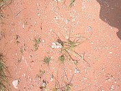 DSCF1804.jpg