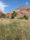 DSCF1806.jpg